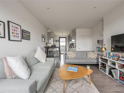 Picture 14